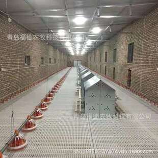 产蛋箱厂家货源 多穴鸡用产蛋箱降低破损率 提高产蛋率