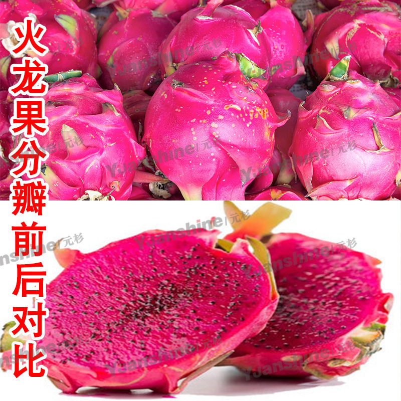 厂家热销商用大型六瓣切扇机