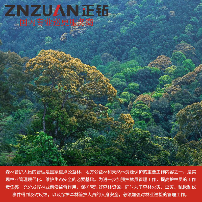 林业巡检管理系统方案护林员林场林业局巡更系统巡逻棒巡更棒巡查
