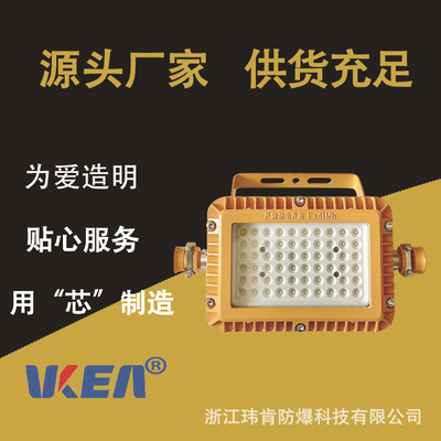 DGS80/127L煤矿用隔爆LED巷道灯