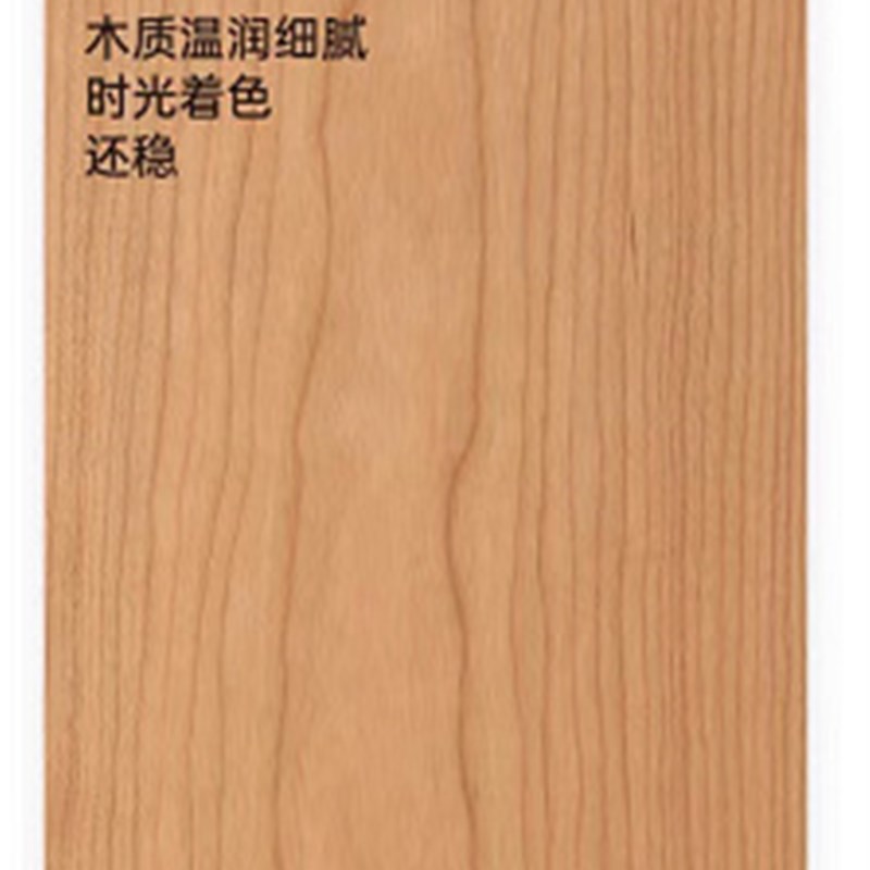 北美黑胡桃木茶几复古风客厅收纳储物茶桌北欧实木樱桃木矮柜地柜