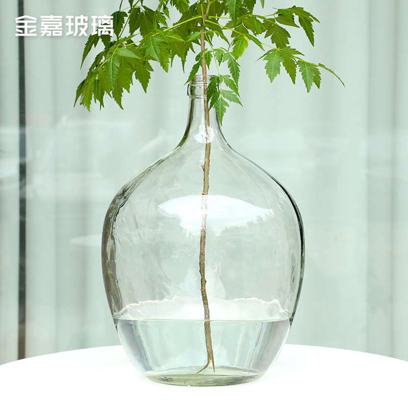 透明玻璃大肚子水培花瓶落地