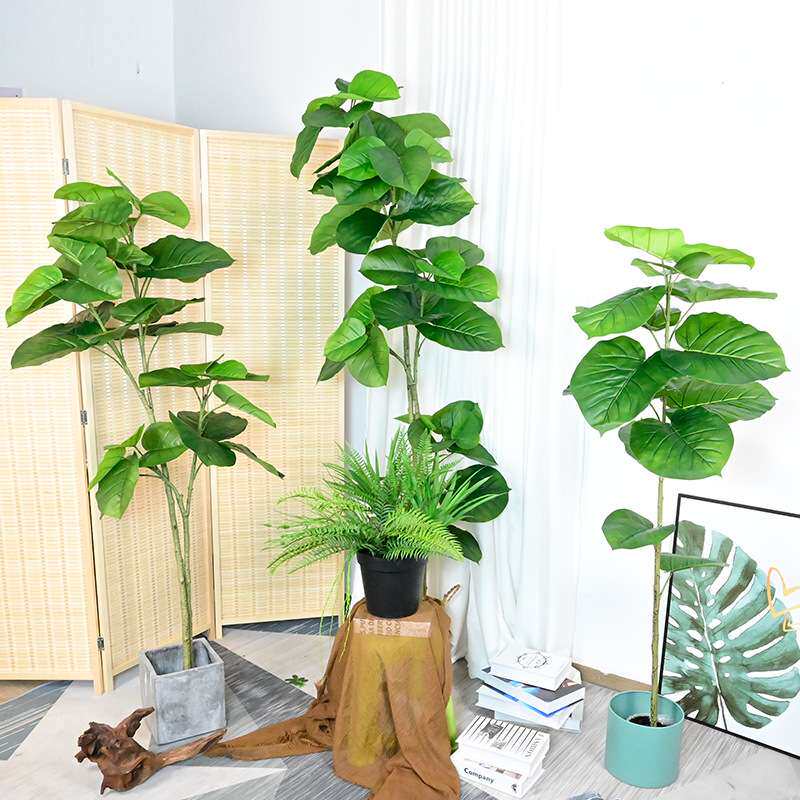 心叶榕落地盆栽菩提树室内假植物客餐厅假树橱窗软装设计高仿真