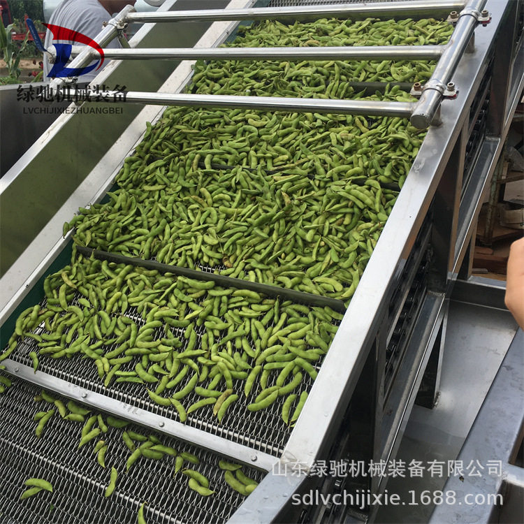全自动果蔬净菜气泡清洗机