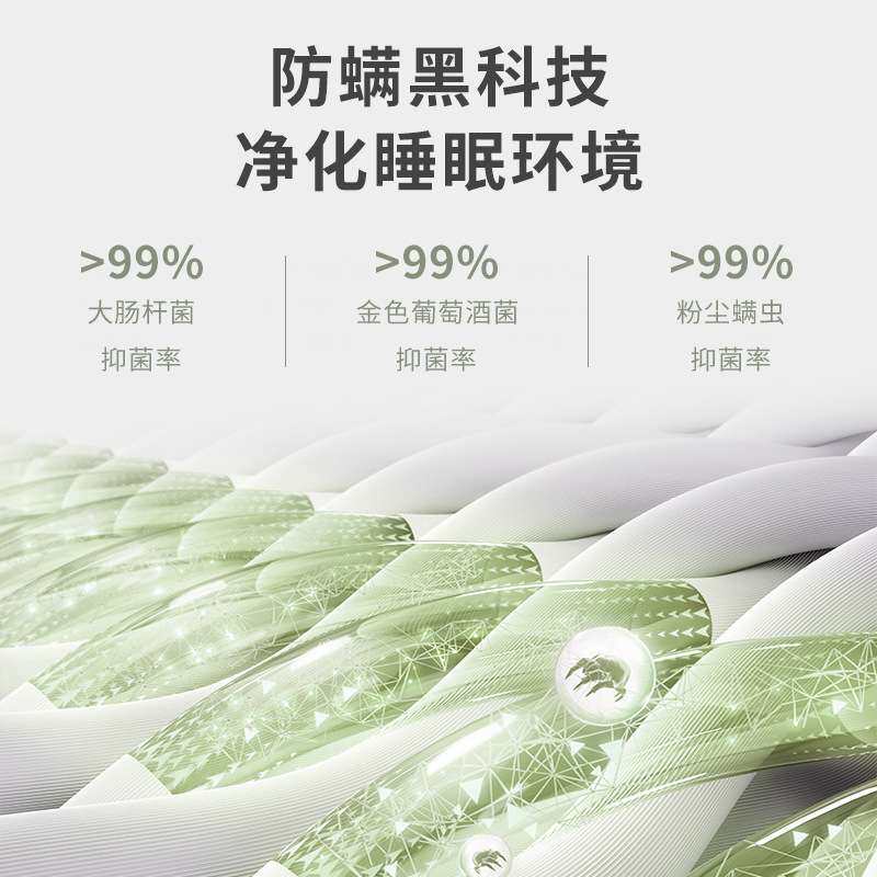 偏硬棕垫天然椰棕轻奢网红床垫席梦思弹簧双人单人儿童成人1.8米