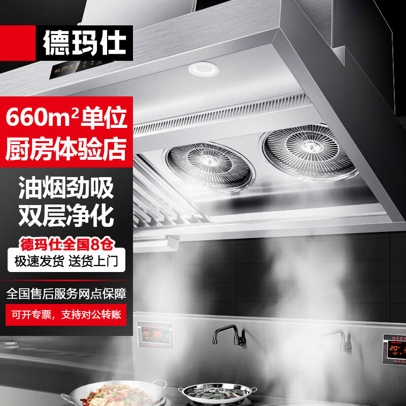 德玛仕商用饭店酒店单位厨房大吸力低空排放净化器油烟净化一体机