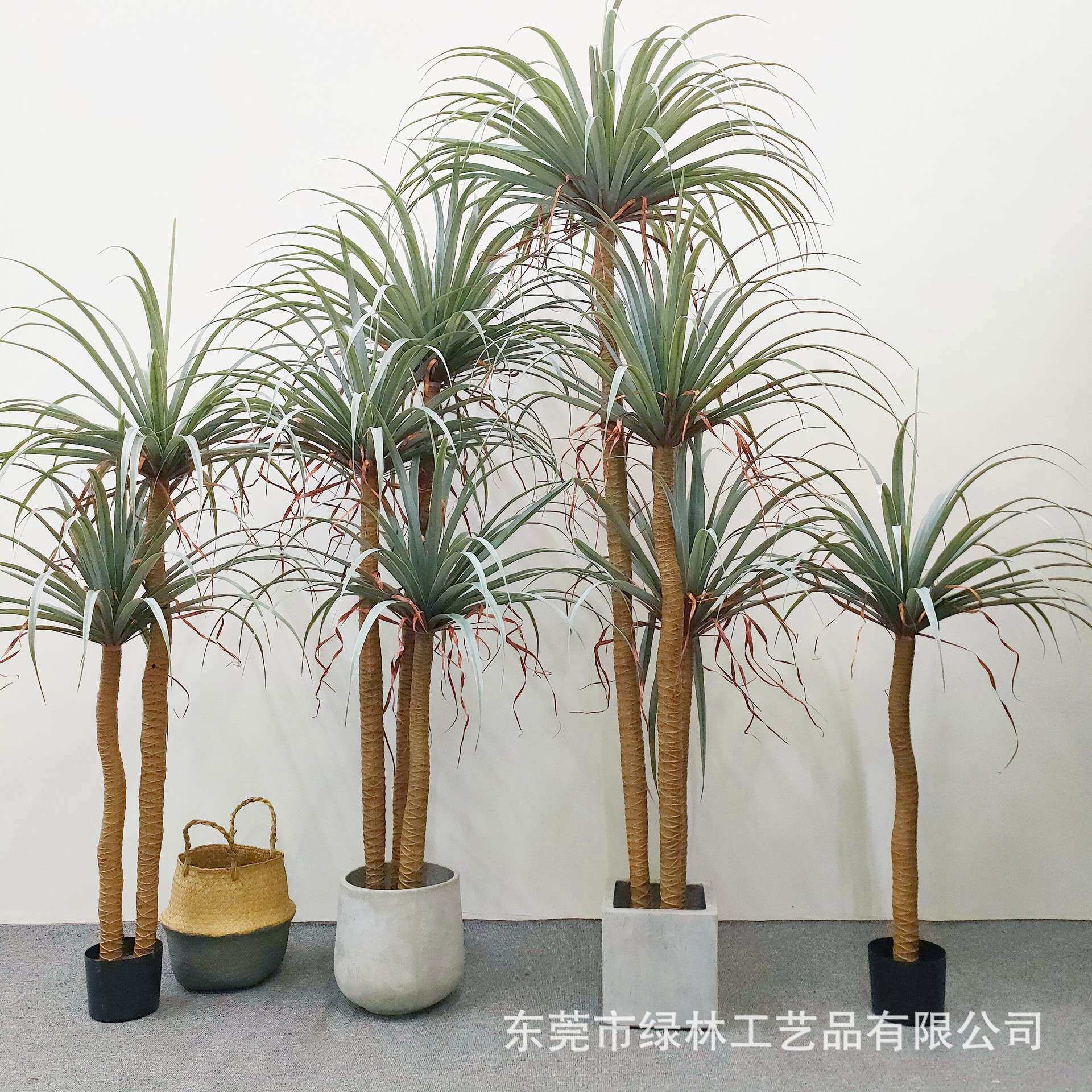 仿真丝兰树盆栽北欧风荷兰铁假树龙葵多仿真杆龙血树装饰落地盆栽