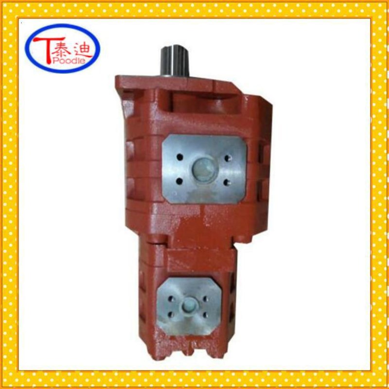 供应CBGj2063/1016双联齿轮泵 徐D工铲车液压泵物料号:803004064