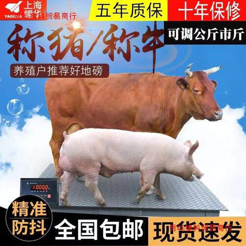 上海无线耀华地磅秤1-3吨小型