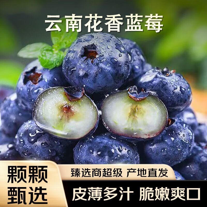 云南花香蓝莓鲜果新鲜特大果产地直发高山蓝莓现摘现发应当季水果