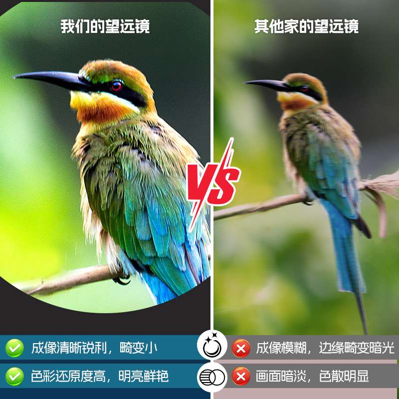 新款双筒望远镜8X42充氮防水户外便携高清寻蜂演唱会旅行望远镜