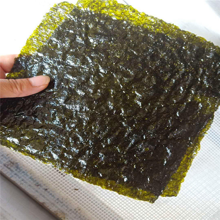 紫菜油炸设备裹浆海苔自动油炸撒芝麻机器生产厂家提供视频图片
