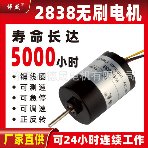 2838直流无刷电机24V微型可调速正反转12V大力矩高转速低噪音马达