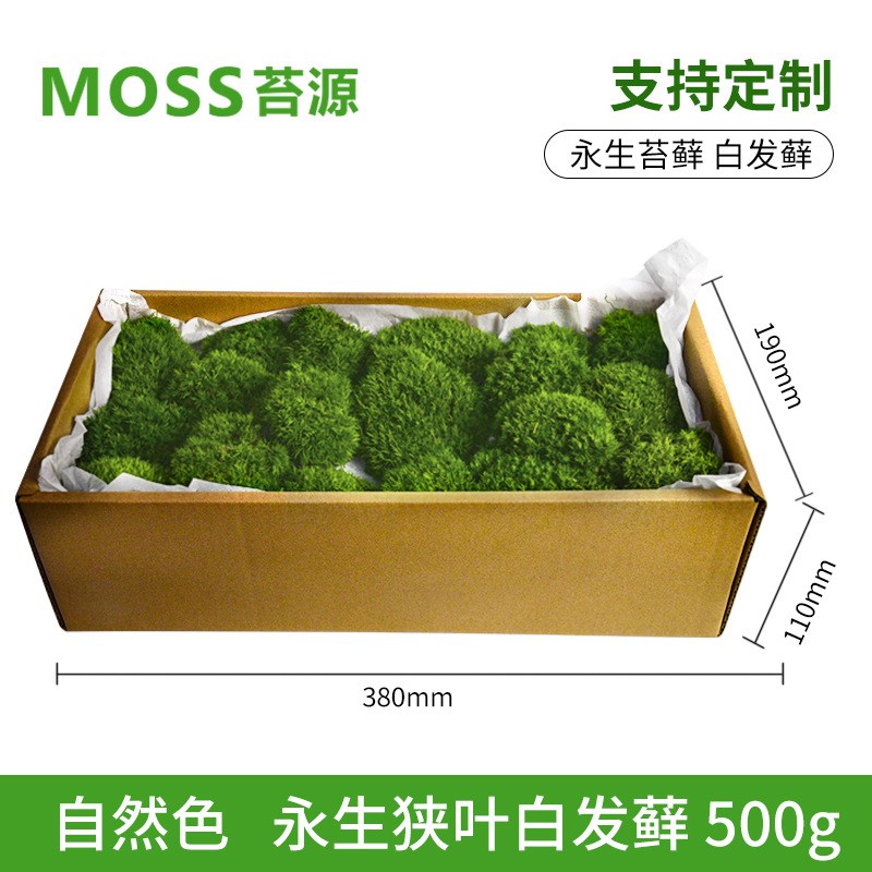 永生苔藓植物墙仿真地衣白发藓狭叶白发藓青苔造景室内枯山水景观