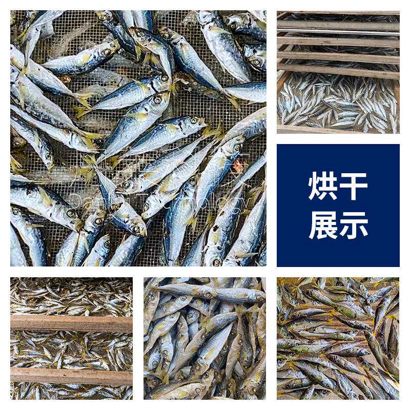 空气能巴浪鱼烘干机304不锈钢全自动智能控温海产品冷热风烘干房