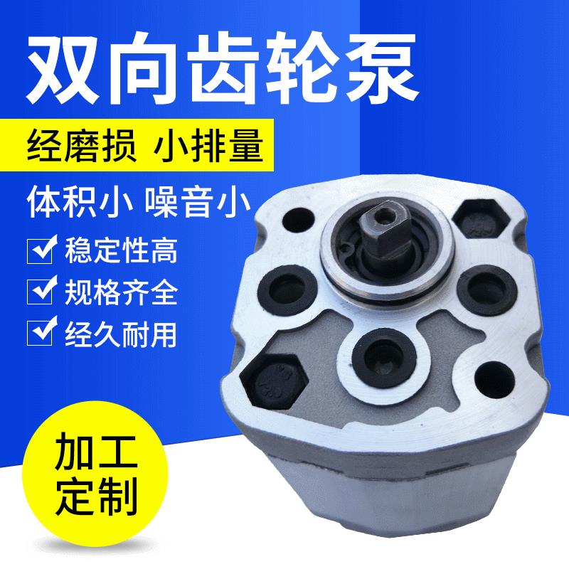 小型双向齿轮泵小排量双向泵压齿轮泵微型液压油泵
