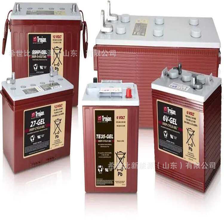 TROJAN邱健蓄电池L16P-AC垛板机6V420AH商用卡车休闲型车观光车用