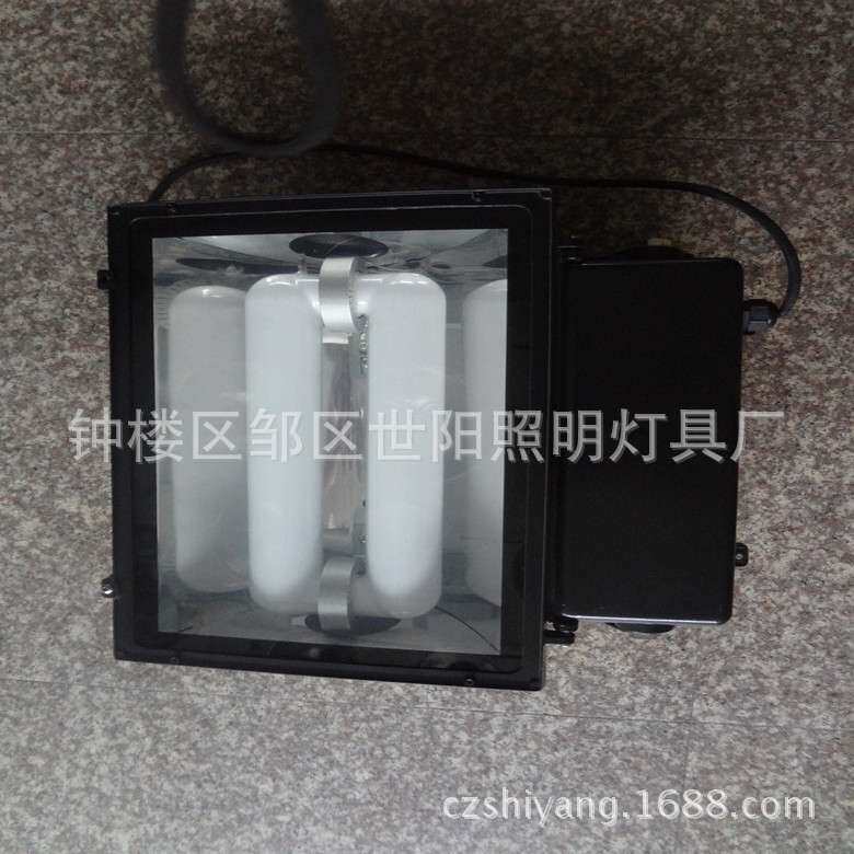 高低频无极灯灯具 灯具配件灯罩无极灯泛光灯集装箱整柜
