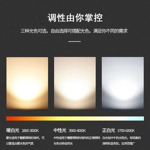 厂家直供射灯 led天花射灯珠宝店商场酒店可调防眩光cob灯具