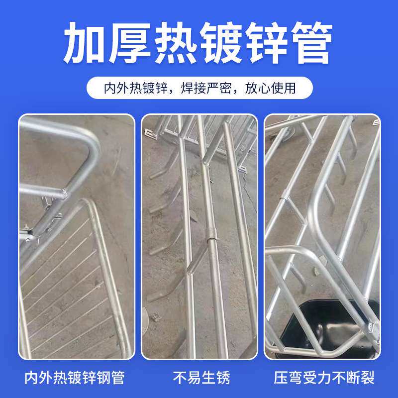 单体母猪产床位新款热镀锌管母猪产床分隔围栏现货供应母猪产床位