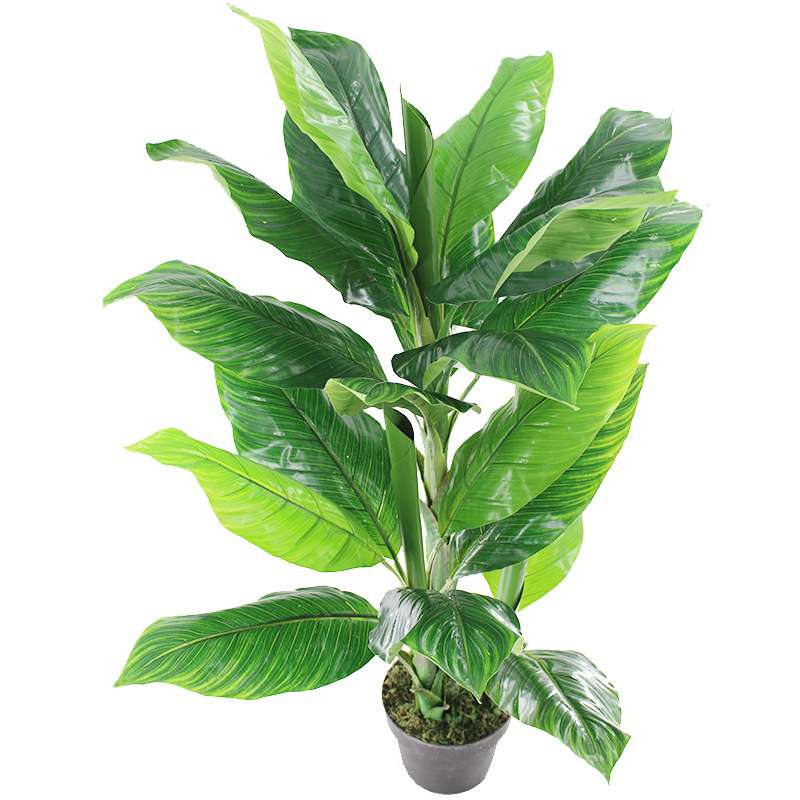 仿真植物盆栽美人焦叶热带芭蕉植物树叶室内旅人蕉叶葵叶装饰