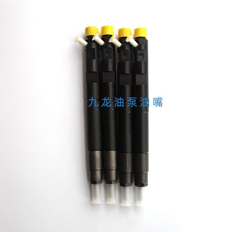 EJBR02901D适用德尔福喷油器共轨喷油嘴总成2901D