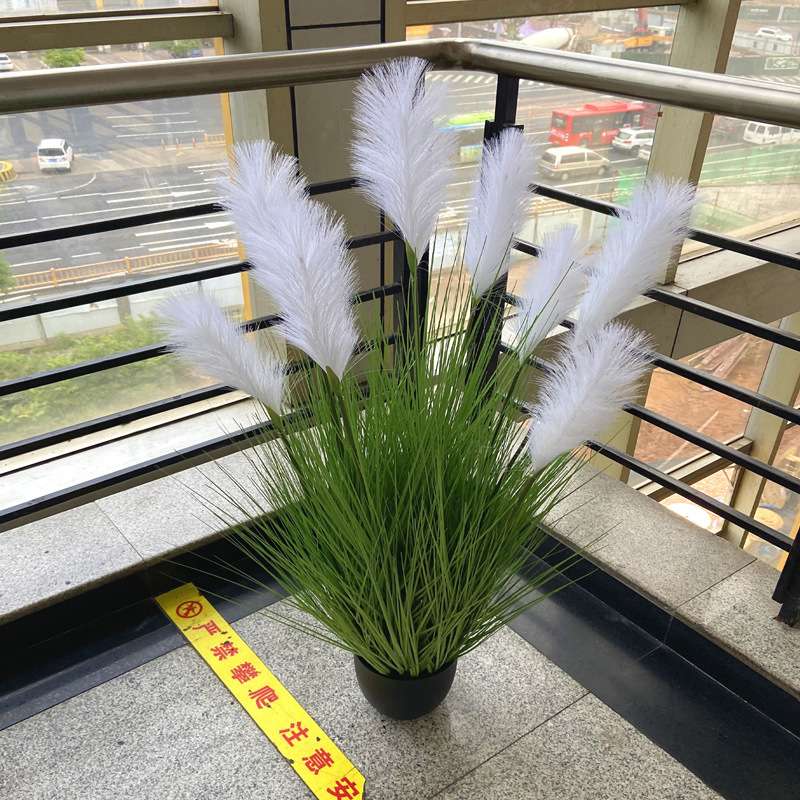 轻奢仿真芦苇盆栽大芦苇9头芦苇洋葱草婚庆厨窗拍摄道具装饰摆件