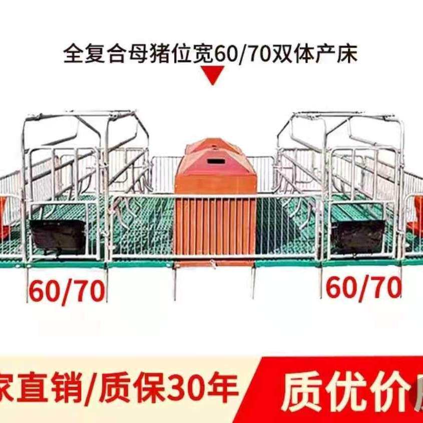 母猪产床复合板铸铁梁双体产床仔猪分娩床产保一体产床养殖设备