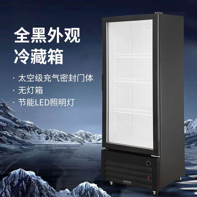 穗凌冰柜立式冷藏无灯箱单门保鲜展示柜冰箱饮料柜商用冷柜冰箱
