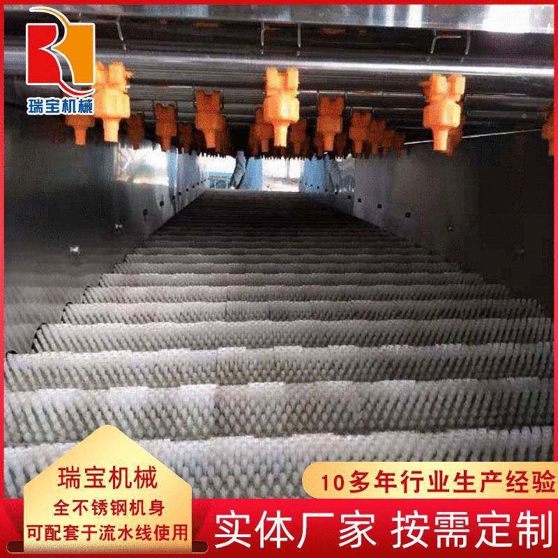毛桃黄平毛辊清洗机土豆YOY去行皮清洗桃流水线根茎类清洗去泥设