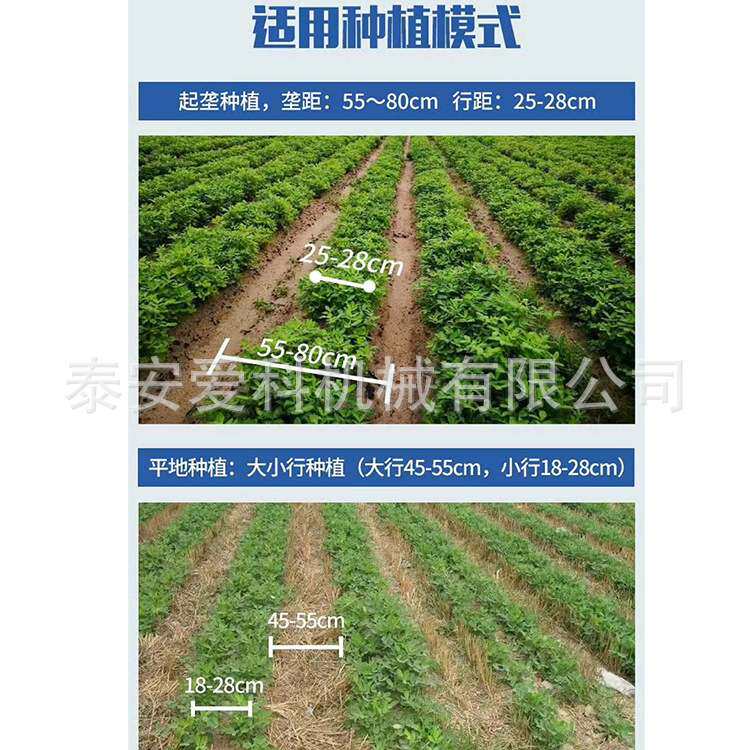 链条式花生收获机四轮车带起垄种植大蒜胡萝卜收获侧面摆放起果机
