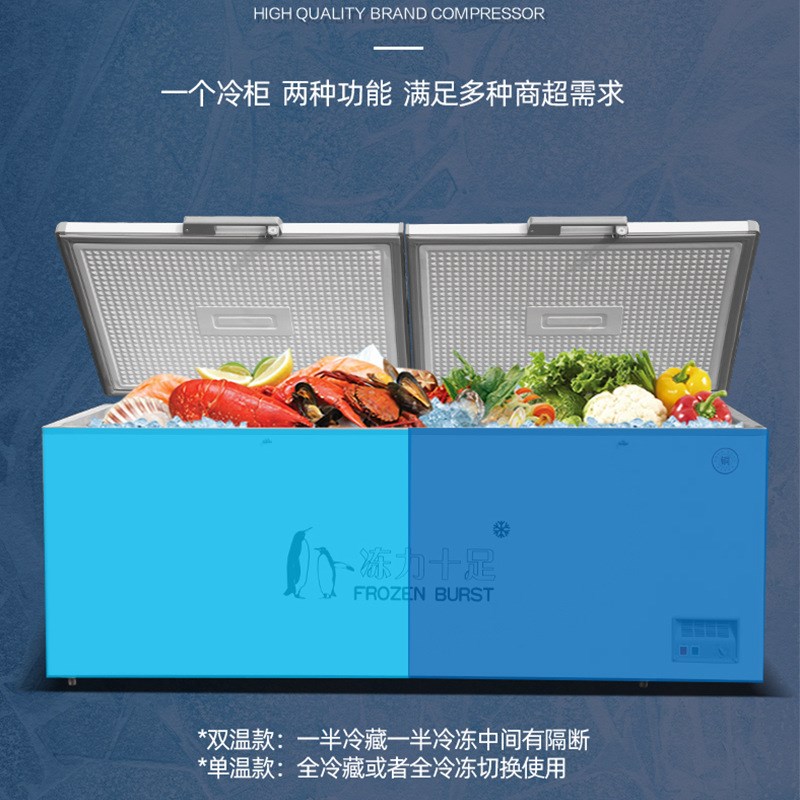 卧式冰柜商用大容量冷藏保鲜冷柜家用单双温冰箱大型展示柜速冻柜