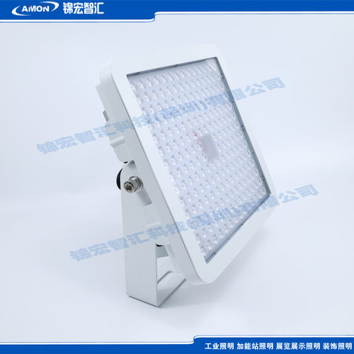LED智能应急灯150WDC36V