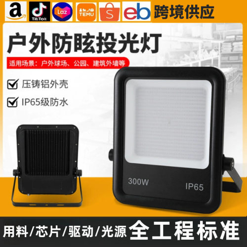 跨境亚马逊防水LED透镜投光灯大功率户外防水工地照明灯公园球场