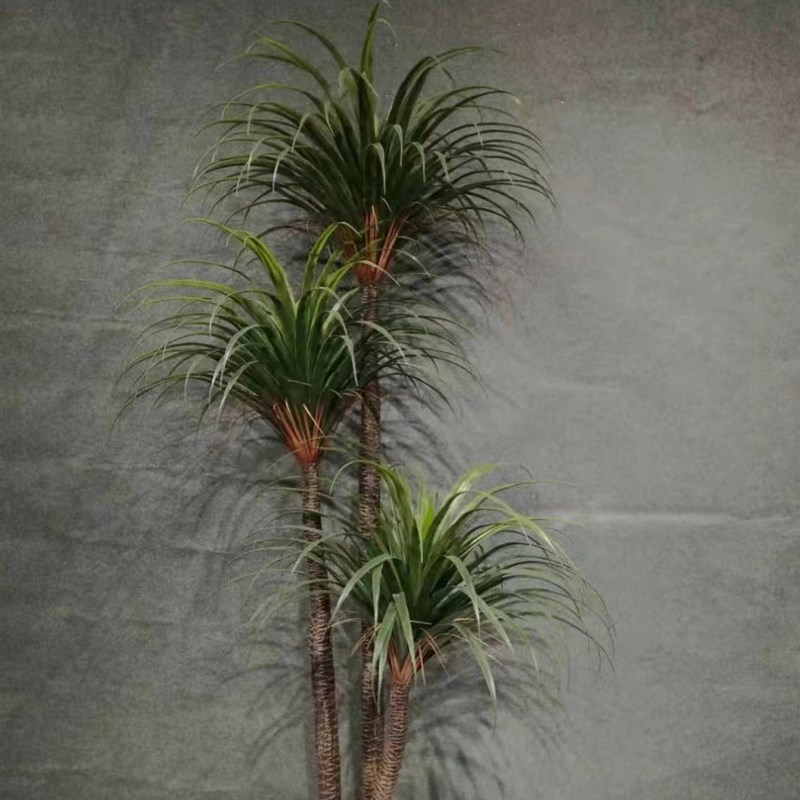 仿真龙血树盆栽 仿真铁树龙舌兰 假树北欧风大型落地仿真绿植盆栽