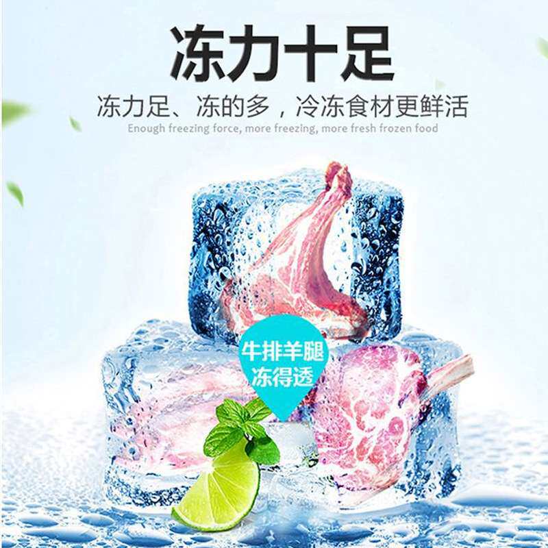 铭雪冰柜商用卧式冰箱发泡门雪糕大容量冷饮柜酒店冷冻雪柜低温柜