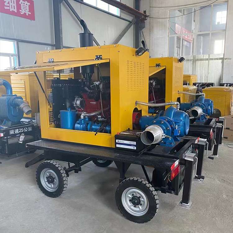 小型柴油泵车柴油机抽水泵车设备耐腐蚀立式抽水排洪轴流水泵