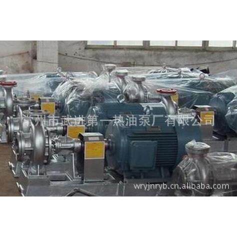 WRY250-200-500高温循环泵,热媒泵,导热油泵,武进热油泵