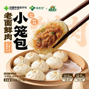 【10个装*5袋】临匠鲜杭州老面鲜肉小笼包