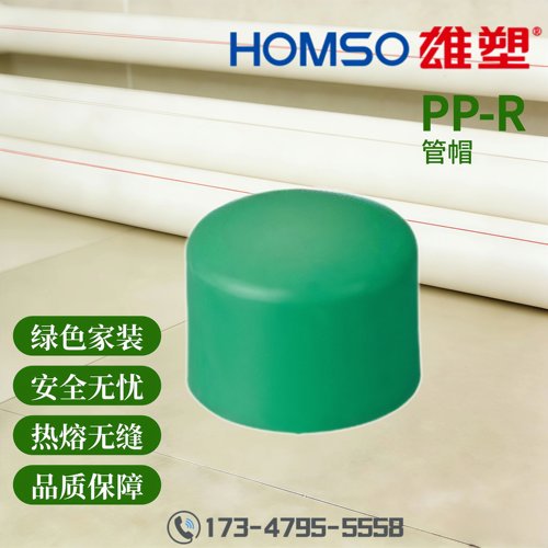 HOMSO雄塑 PPR 管帽 精品家装水管管件