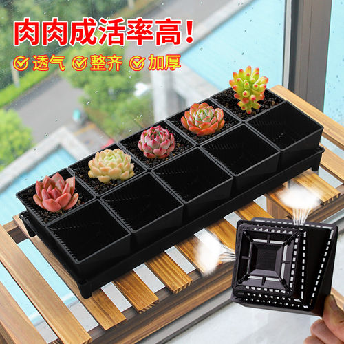 美莳多肉专用控根花盆树脂塑料透气植物方盆带托盘长条形套装组合