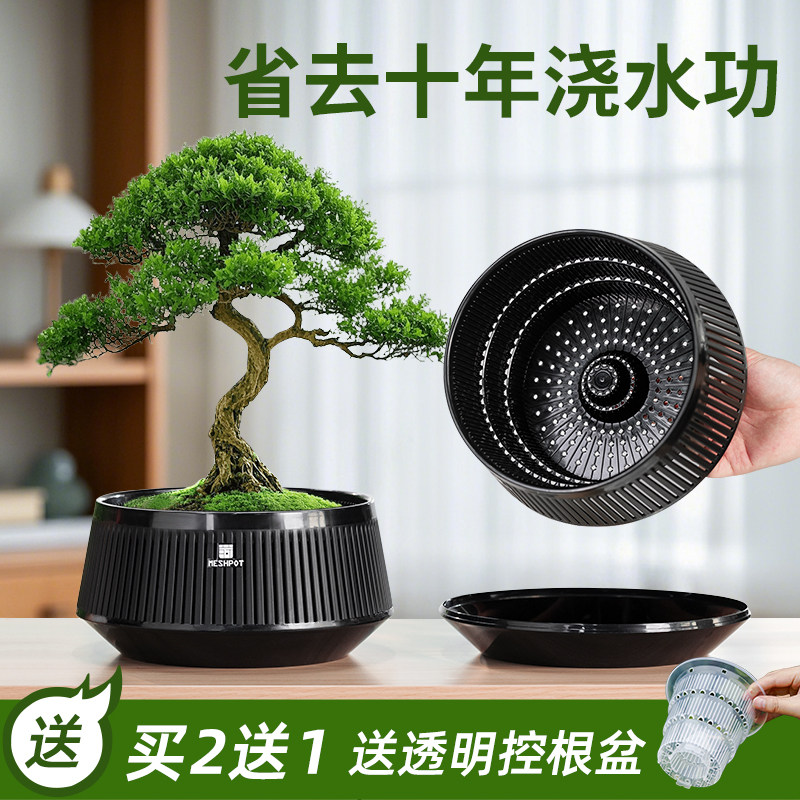 美莳盆景专用花盆榕树梅花文竹块根龙舌兰塑料仿紫砂透气控根浅盆