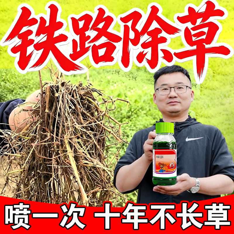 十年不长草铁路强力除芦苇大竹子