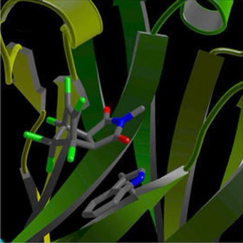 分子动力学计算服务 蛋白结构优化 分子模拟 药物设计 CADD