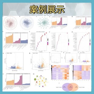 理论计算博士代算,VASP,Gaussian,lammps,gromacs