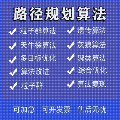 matlab路径规划遗传蚁群粒子群算法代做Python强化学习多目标优化
