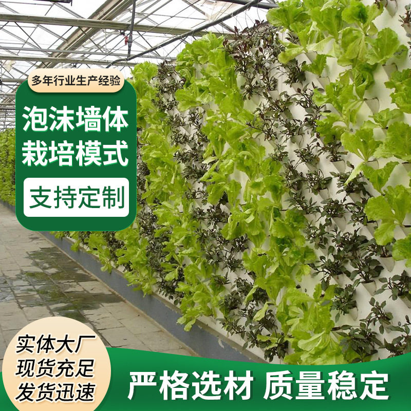 山东链条式泡沫墙体栽培草莓晨蔬高架栽培模式植物园垂吊花草栽培