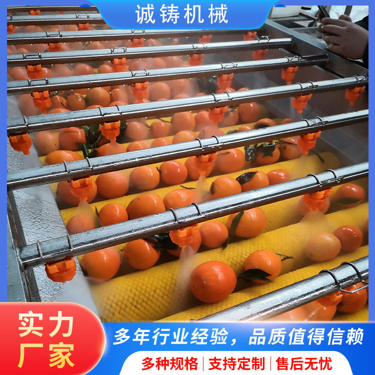 全自动果蔬清洗机耙耙柑气泡毛刷洗果线柠檬柑桔平行毛辊清洗机