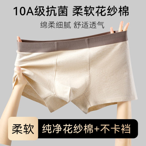 春季纯棉男士内裤花纱纯色简约舒