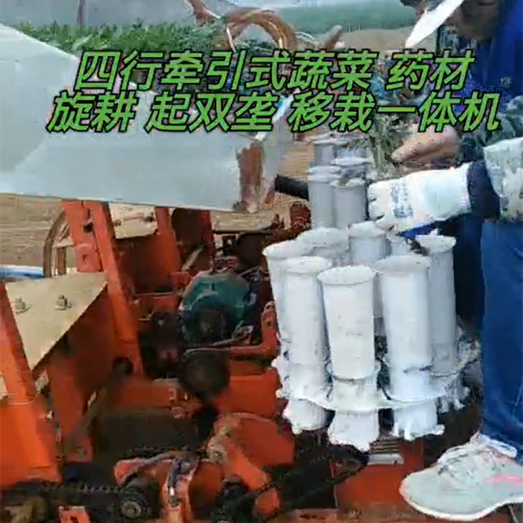 辣椒苗移苗器 多行黄瓜苗定植机幼苗移栽器定制8行种辣椒苗机